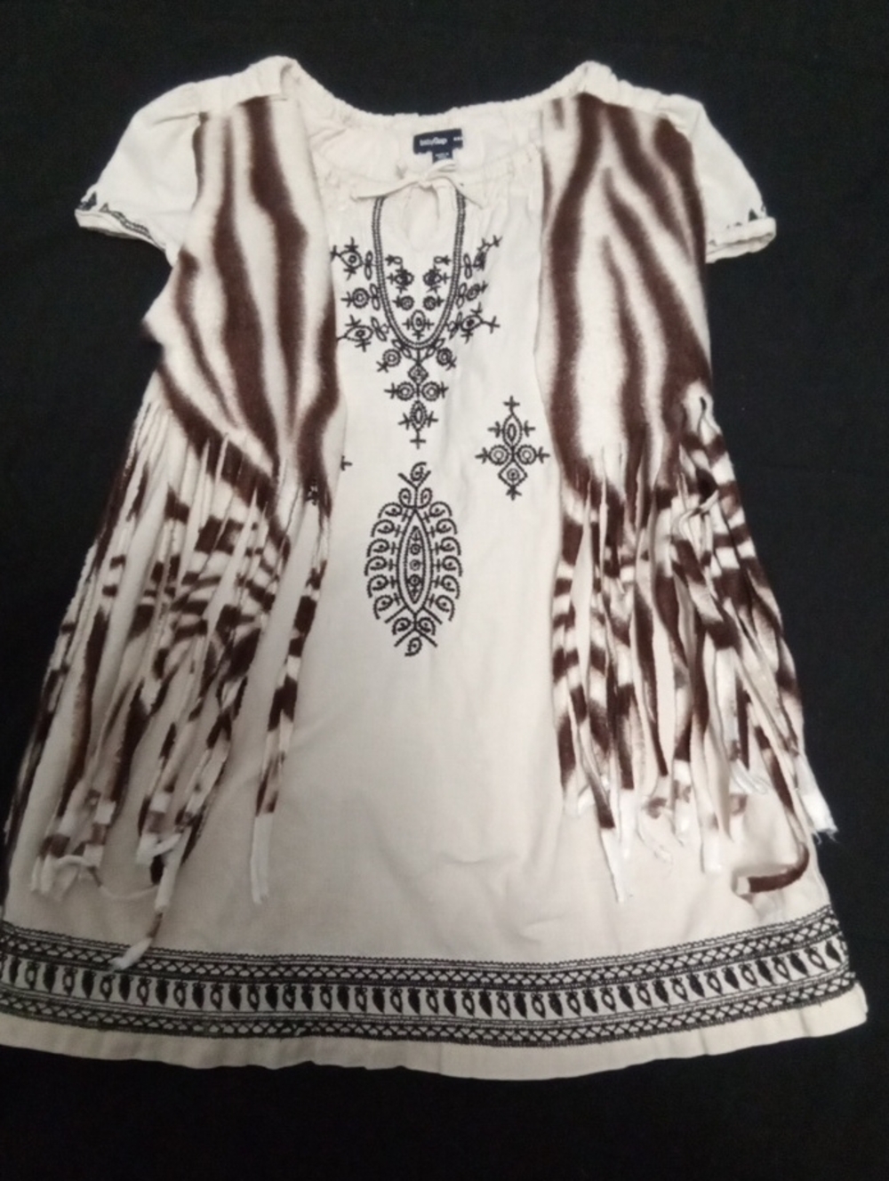 2/$7**Baby Gap Size 4T Dress With Embroidery And Felt Fringe